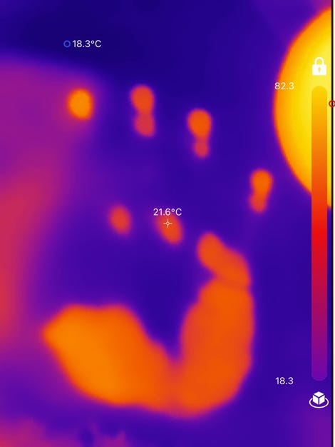 Thermal echoes of fingerprints on a surface